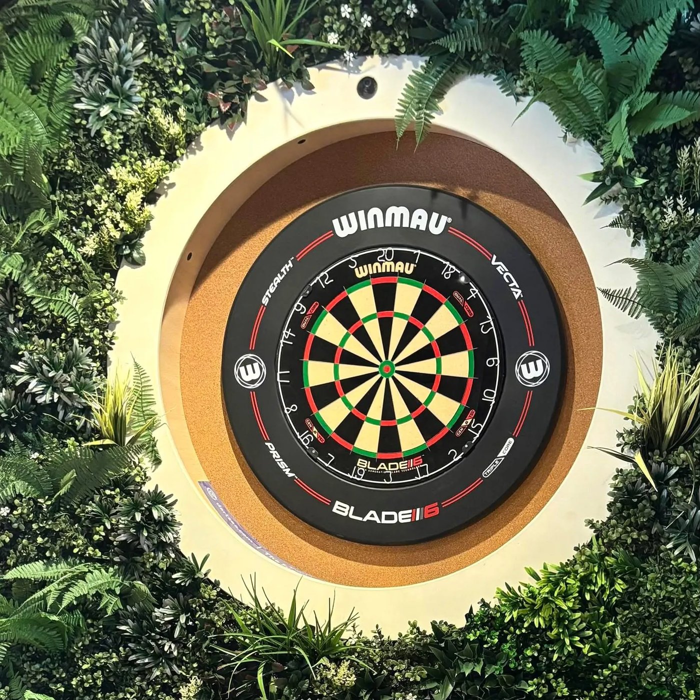 Social Darts